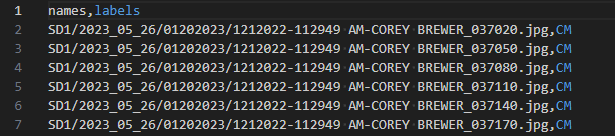 csv columns