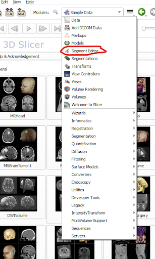 image_tooltip alt_text