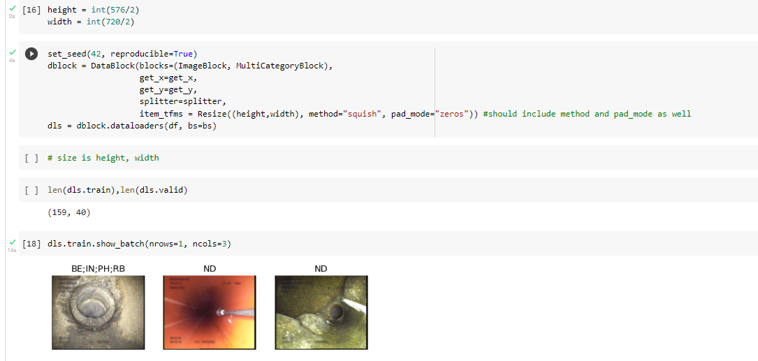 What to input for the Resize()