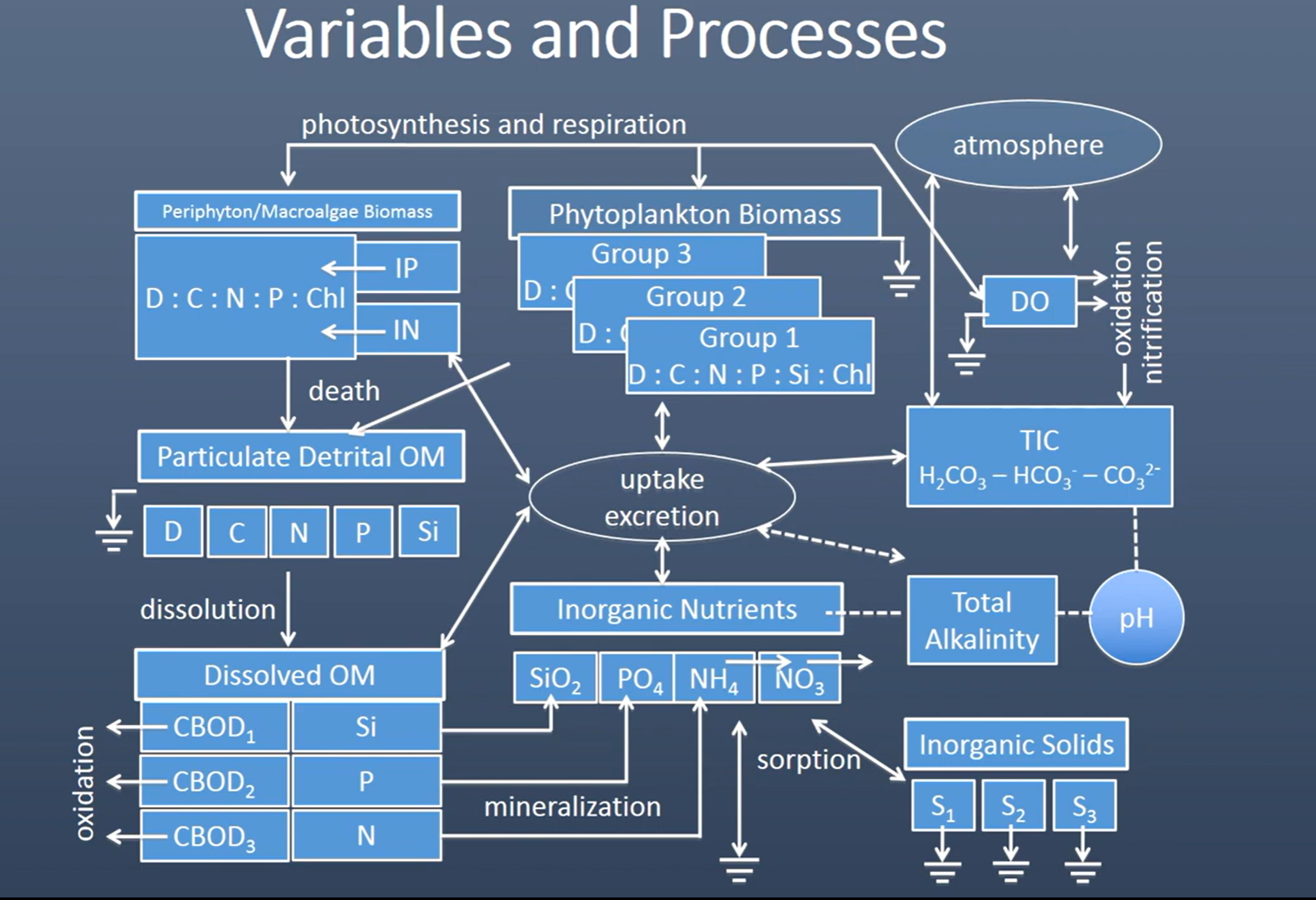 Introduction to Wasp 8 video