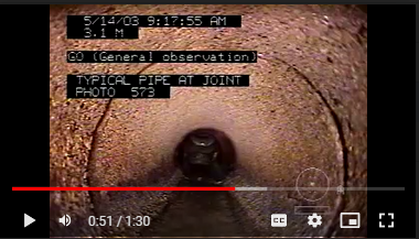 image_with_annotation
