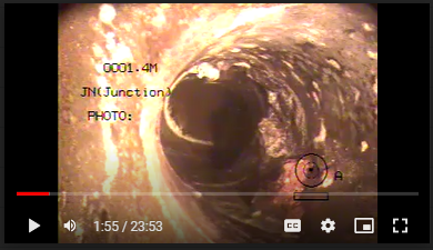 image_with_annotation_4